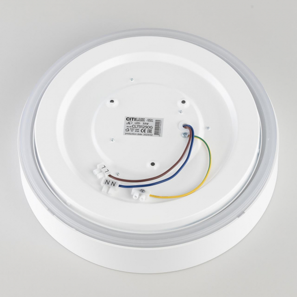 Потолочный светодиодный светильник Citilux Boss CL751250G Потолочный светодиодный светильник Citilux Boss CL751250G
