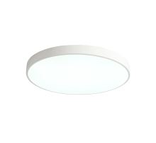 Потолочный светодиодный светильник Zortes Tortty ZRS.02564.120