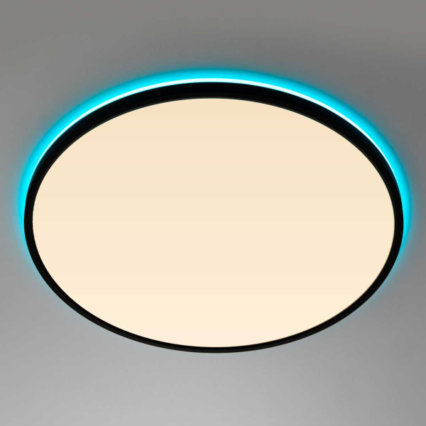 Потолочный светильник Citilux NORMA CL749501