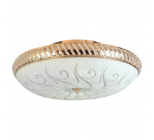 Накладной светильник Toplight Davina TL1482Y-05GC