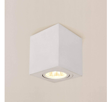 Потолочный светильник Citilux Дюрен CL538211