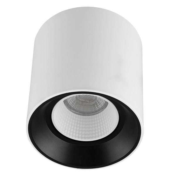 Накладной светильник Denkirs DK3090-WB+WH Накладной светильник Denkirs DK3090-WB+WH