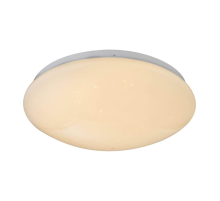 Потолочный светодиодный светильник Globo Atreju I 48363