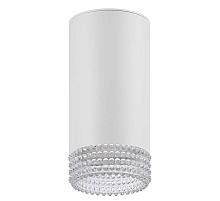 Накладной светильник ЭРА OL40 WH/CL Б0058477
