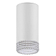 Накладной светильник ЭРА OL40 WH/CL Б0058477