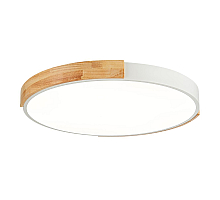Потолочный сетодиодный светильник Evoluce Delia SLE201352-01