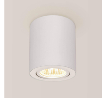 Потолочный светильник Citilux Дюрен CL538111