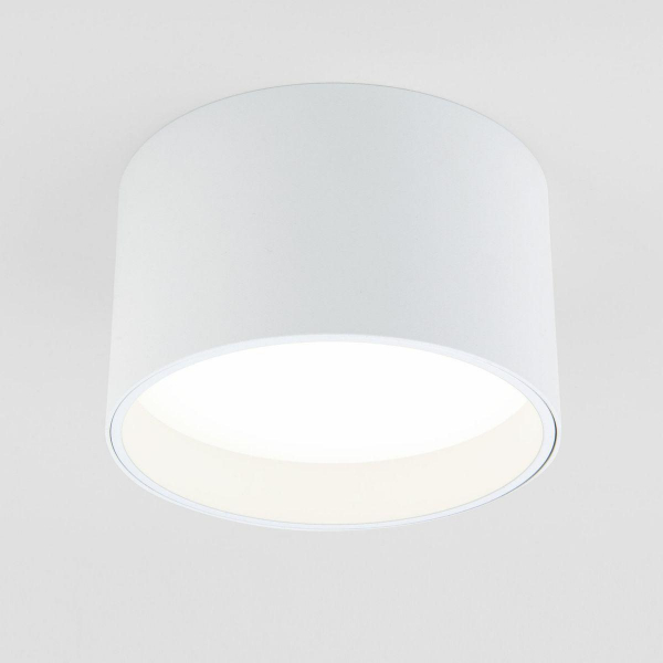 Потолочный светодиодный светильник Elektrostandard 25123/Led Banti 13Вт 4200K a058846 Потолочный светодиодный светильник Elektrostandard 25123/Led Banti 13Вт 4200K a058846