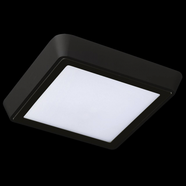 Потолочный светодиодный светильник Lightstar Urbano 216874 Потолочный светодиодный светильник Lightstar Urbano 216874