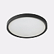 Потолочный светодиодный светильник Italline IT011-5022 black