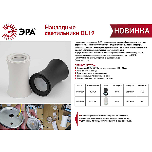 Накладной светильник ЭРА OL19 BK Б0054387