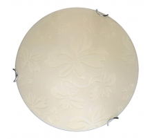 Настенно-потолочный светодиодный светильник Toplight Jane TL9640Y-00WH