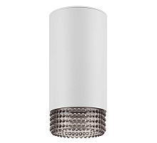 Накладной светильник ЭРА OL40 WH/GR Б0058478