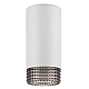 Накладной светильник ЭРА OL40 WH/GR Б0058478