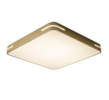 Потолочный светодиодный светильник Zortes Gabby ZRS.1215.04