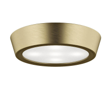 Потолочный светильник Lightstar Urbano Mini LED 214714