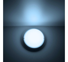 Потолочный светодиодный светильник Gauss Сауна 126411312