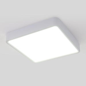 Потолочный светодиодный светильник Elektrostandard DLS034 18W 4200K a043017