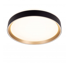 Потолочный светодиодный светильник Citilux Boss CL751351G