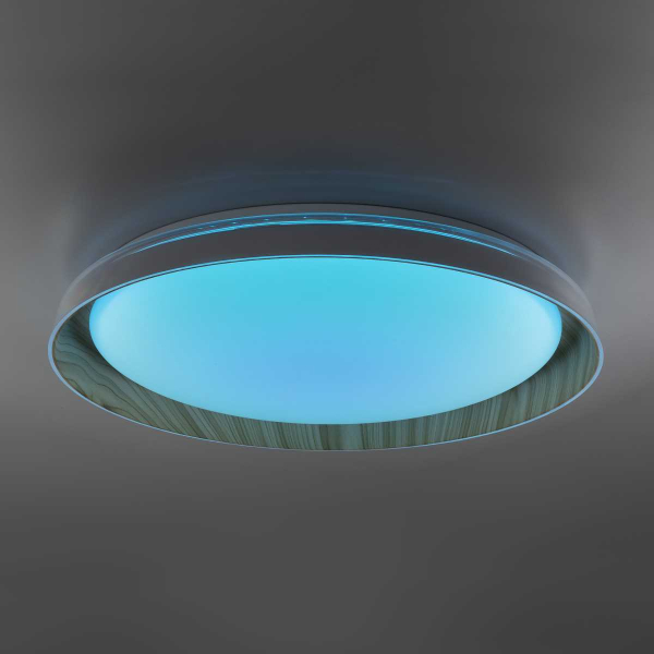 Потолочный светодиодный светильник Citilux Mega CL752452G