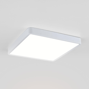 Потолочный светодиодный светильник Elektrostandard DLS034 24W 4200K a043018