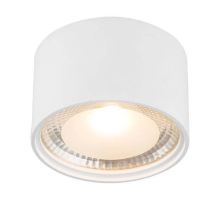 Потолочный светодиодный светильник Globo Serena 12007W