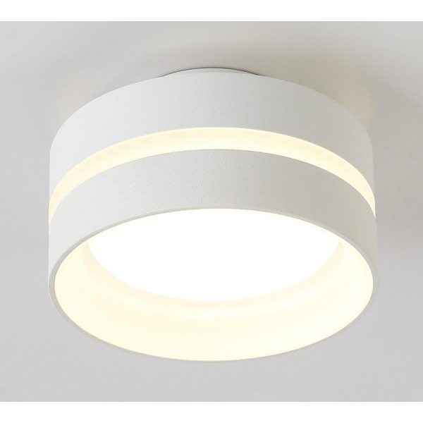 Потолочный светильник Ambrella light TN5419 Потолочный светильник Ambrella light TN5419