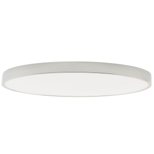 Потолочный светодиодный светильник Zortes Tortty ZRS.02565.120