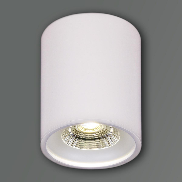 Накладной светильник Reluce 81117-9.5-001RT LED10W WT Накладной светильник Reluce 81117-9.5-001RT LED10W WT