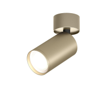 Накладной светильник Denkirs DK2029-GG