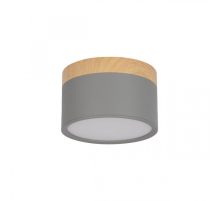 Накладной светодиодный светильник Loft IT Grape 10162 Grey