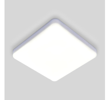 Потолочный светодиодный светильник Elektrostandard DLS043 10W 4200K a047941