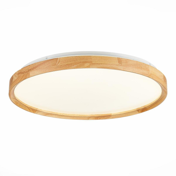 Потолочный сетодиодный светильник Evoluce Delia SLE201382-01 Потолочный сетодиодный светильник Evoluce Delia SLE201382-01