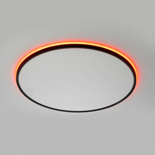 Потолочный светильник Citilux NORMA CL749601