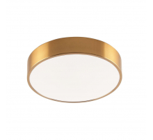 Потолочный светодиодный светильник Zortes Tortty ZRS.02566.48