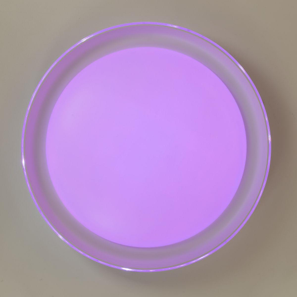 Потолочный светодиодный светильник Citilux Mega CL752450G Потолочный светодиодный светильник Citilux Mega CL752450G