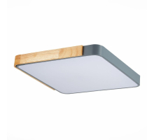 Потолочный сетодиодный светильник Evoluce Festa SLE201272-01