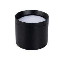 Накладной светильник Favourite 4707-1C