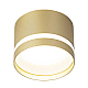 Потолочный светильник Citilux Hardy CL002C12