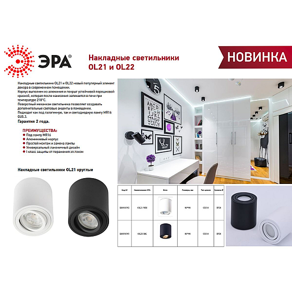 Накладной светильник ЭРА OL21 BK Б0054393