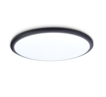 Потолочный светодиодный светильник Ambrella light Orbital Air FZ1235