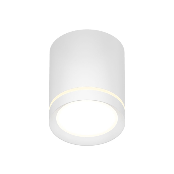 Накладной светодиодный светильник Denkirs DK4016-WH