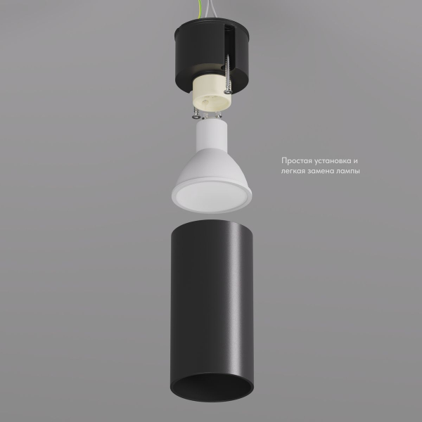 Потолочный светильник Denkirs DK2008-BK