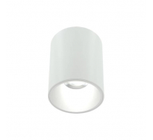 Накладной светильник Lightera Shamrock LE200CL-1W