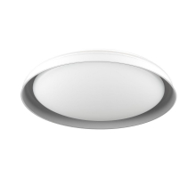 Потолочный светодиодный светильник Citilux Mega CL752451G