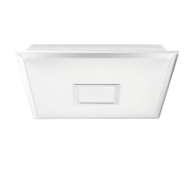 Потолочный светодиодный светильник Globo Rena 48381