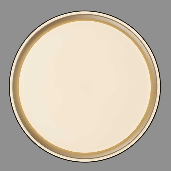 Потолочный светодиодный светильник Citilux Boss CL751251G