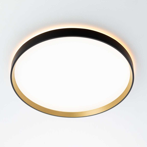 Потолочный светильник Citilux ETALON CL750401R