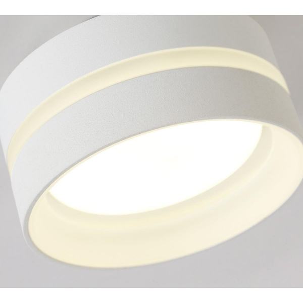 Потолочный светильник Ambrella light TN5419 Потолочный светильник Ambrella light TN5419