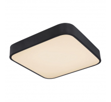 Потолочный светодиодный светильник Globo Leanara 41755-24B